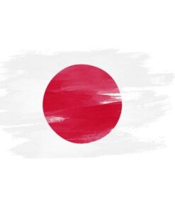 Gửi hàng đi Nhật Bản, vận chuyển hàng đi Nhật Bản, phí gửi hàng đi Nhật Bản qua bưu điện, gửi hàng đi Nhật Bản giá rẻ, gửi hàng đi nước ngoài, gửi đồ đi Nhật Bản qua bưu điện, gửi hàng quốc tế, chuyển phát nhNhật Bản quốc tế, công ty vận chuyển quốc tế