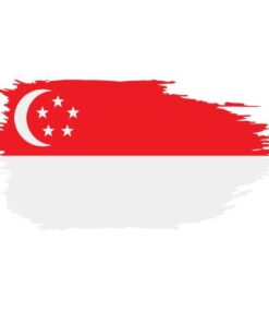 Gửi hàng đi Singapore, vận chuyển hàng đi Singapore, phí gửi hàng đi Singapore qua bưu điện, gửi hàng đi Singapore giá rẻ, gửi hàng đi nước ngoài, gửi đồ đi Singapore qua bưu điện, gửi hàng quốc tế, chuyển phát nhSingapore quốc tế, công ty vận chuyển quốc tế