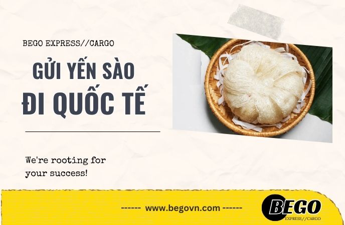 Gửi yến sào đi Mỹ | Dịch vụ vận chuyển gui to yen sao di nuoc ngoai my uc canada anh malaysia phillippines dhl fedex ups viettel buu dien hu yen 2