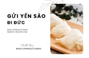 12 gui to yen sao di duc