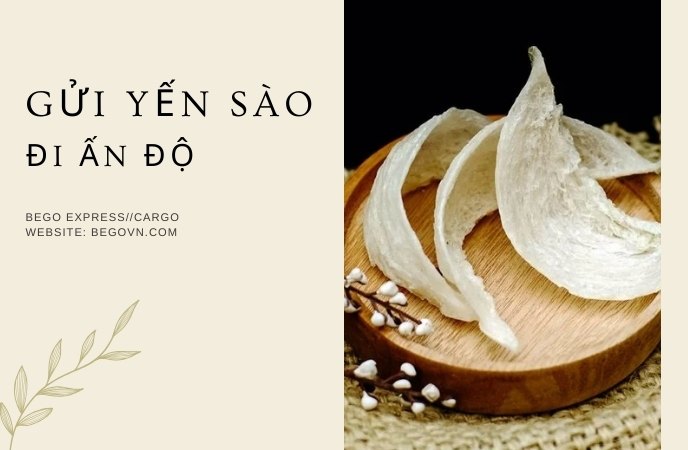 Gửi Yến sào đi Ấn Độ 13 gui to yen sao di an do