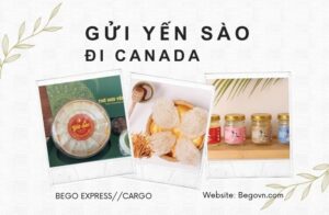 15 gui to yen sao di canada