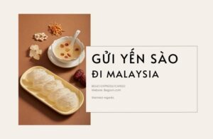 17 gui to yen sao di malaysia