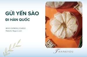 30 gui yen sao to yen di han quoc