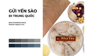 4 gui to yen sao di trung quoc my uc canada anh malaysia phillippines dhl fedex ups viettel buu dien hu yen 1