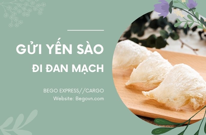 Gửi yến sào đi Đan Mạch 9 gui to yen sao di dan mach