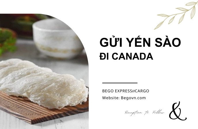 Gửi Yến Sào Đi Canada Giá Rẻ, An Toàn van chuyen to yen sao di nuoc ngoai fedex ups fedex buu dien viettel ems 23