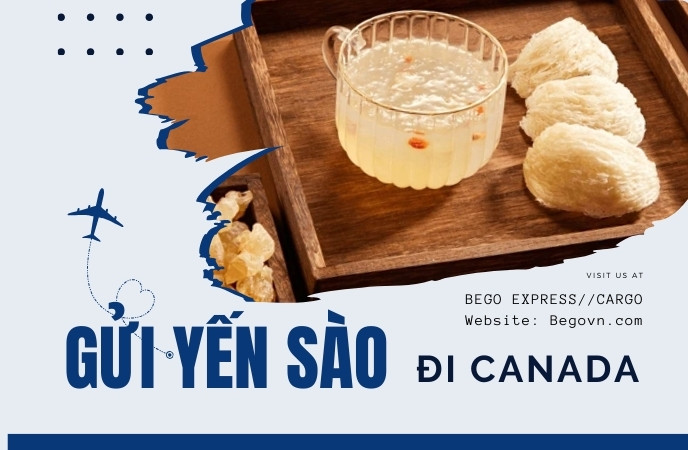 Gửi yến sào đi Canada giá rẻ | Vận chuyển tổ yến tại Hà Nội van chuyen to yen sao di nuoc ngoai fedex ups fedex buu dien viettel ems 29
