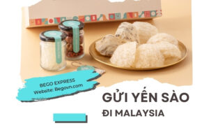 van chuyen to yen sao di nuoc ngoai fedex ups fedex buu dien viettel ems 32