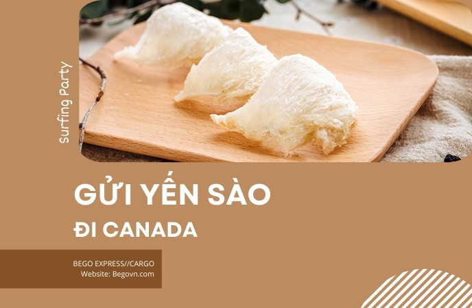 Vận chuyển tổ yến sào đi Canada nhanh, uy tín, an toàn van chuyen to yen sao di nuoc ngoai fedex ups fedex buu dien viettel ems 33
