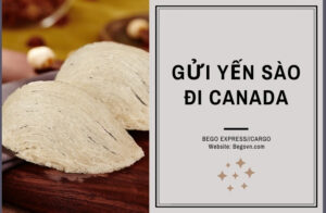 van chuyen to yen sao di nuoc ngoai fedex ups fedex buu dien viettel ems 6