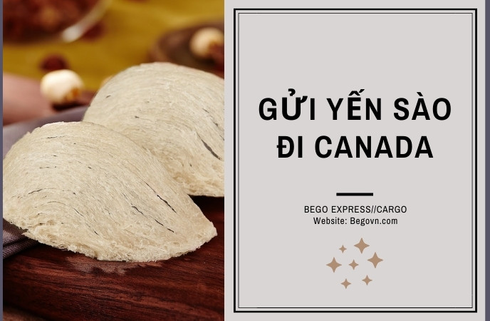 Gửi tổ yến sào đi Canada giá rẻ, uy tín, nhanh chóng tại Hà Nội van chuyen to yen sao di nuoc ngoai fedex ups fedex buu dien viettel ems 6